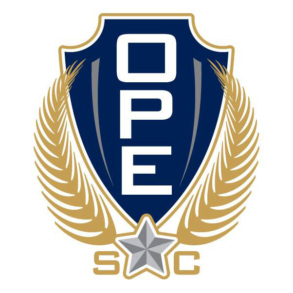 Operation Palmetto Employment