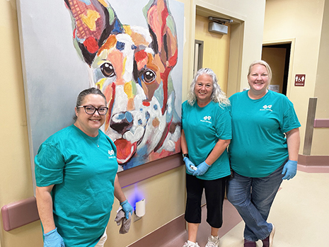 Blue Cross employees volunteering at Palmetto Lifeline